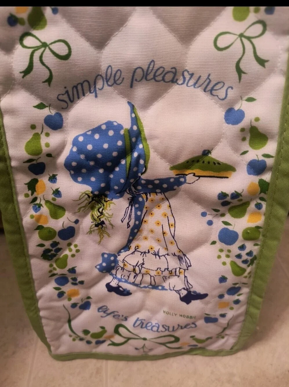 Vintage 70s Holly Hobbie Qltd Blender Cover 